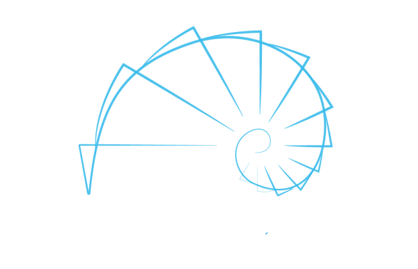 dinoxsa-logo
